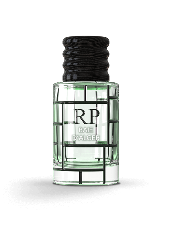 Diffuseur voiture baie d’Alger